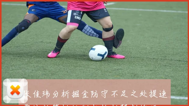 张佳玮分析掘金防守不足之处提速需依赖篮板控制与抢断预判技巧
