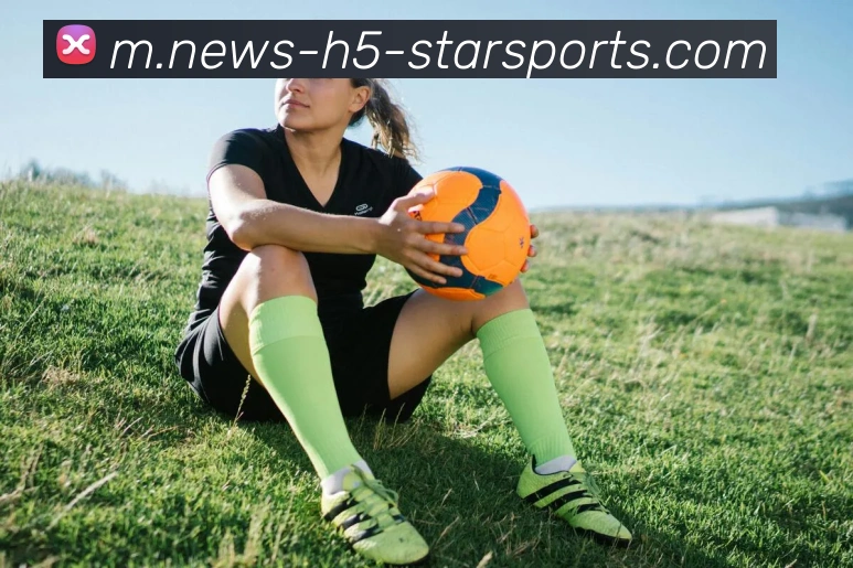 星空体育平台生态图